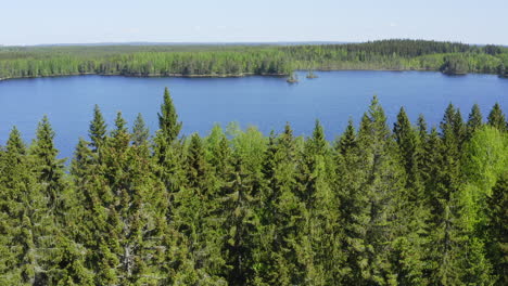 Aerial-Drone-sliding-shot-of-vast-lake-and-forest-scenery