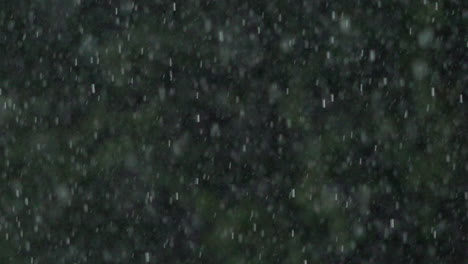 Torrential-rain-falls-past-trees-in-a-park-in-slow-motion-shot-at-1000-frames-per-second