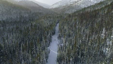 Aerial-drone-shot-as-snow-machine-travels-down-desolate-pine-forest-road,-4K