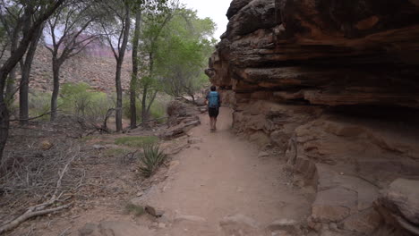 Back-of-Young-Man-Running-on-Hiking-Trail-in-Grand-Canyon-National-Park,-Arizona-USA,-Full-Frame-Slow-Motion