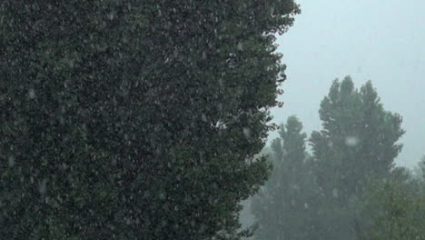 Torrential-rain-falls-past-trees-in-a-park-in-slow-motion-shot-at-1000-frames-per-second