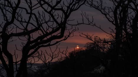4K-time-lapse-of-sunset-on-a-cloudy-day-among-branches