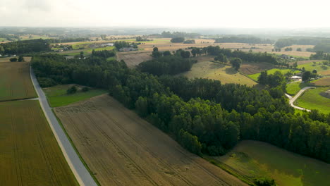 Vista-Aérea-De-La-Tierra-Del-Campo-Con-árboles-Densos-En-Verano-Cerca-De-Czeczewo-En-Polonia