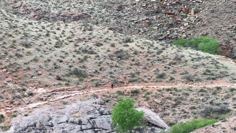 Lonely-Hiker-on-Hiking-Trail-in-Grand-Canyon-National-Park,-Arizona-USA,-Wide-Panoramic-View,-Full-Frame