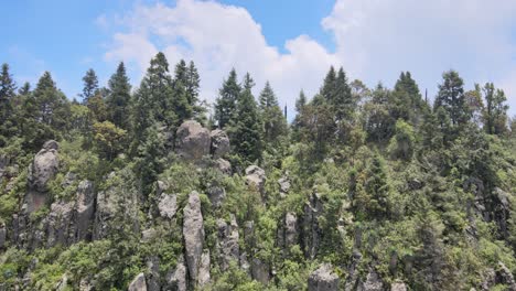 Pull-front-above-cliff-and-pines-in-a-sunny-day-with-some-clouds
