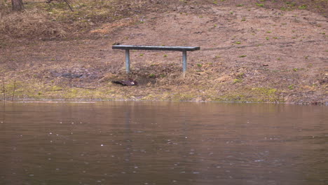 Lonely-bench-by-the-river-on-a-rainy-day