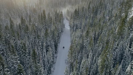 Aerial-shot-panning-down-to-snowmobile-driving-on-empty-forest-road,-4K
