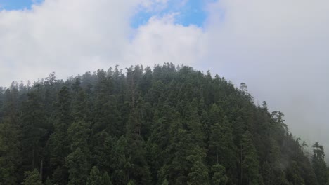 Jib-up-at-a-foggy-day-in-middle-of-forest-with-beautiful-view-of-pines