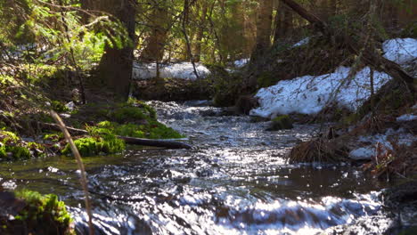 Tripod-shot-of-beautiful-small-river-in-a-boreal-forest-by-springtime-with-some-snow-on-the-banks