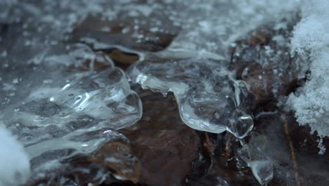 Macro-video-of-tiny-creek-flowing-under-a-thin-ice-cover