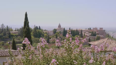 Alhambra,-Granada-Mit-Rosa-Blumen-Im-Vordergrund