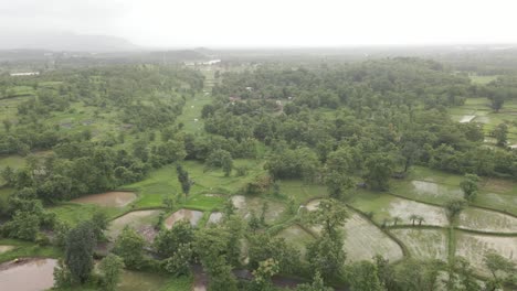 Ojo-De-Pájaro-Drone-Montañas-Verdes-Y-Campo-De-Arroz-Fam-Bajo-La-Lluvia-En-Manor-Maharashtra-India-Revel-Shot