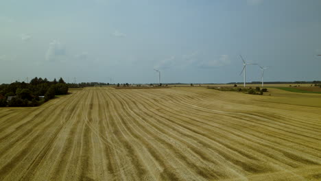 Panorama-Of-Wind-Turbines-Generating-Sustainable-Energy-At-Wind-Farm-Near-Zwartowo-Village-In-Poland