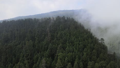 Jib-up-and-tilt-down-at-a-foggy-day-in-middle-of-mountains-above-forest-with-beautiful-view-of-pines