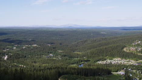 Malerische-Landschaft,-Die-Im-Sommer-über-Waldbäume-In-Nordschweden-Schwenkt