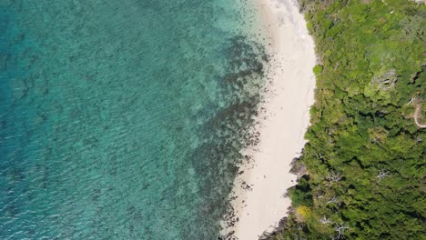Sandküste-Von-Langford-Island-Mit-Klarem-Blauem-Meer---Great-Barrier-Reef,-Whitsunday,-Australien