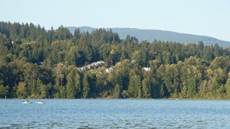 Port-Moody-Homes-En-Forest,-False-Creek-Y-Kayakistas-4k,-60fps