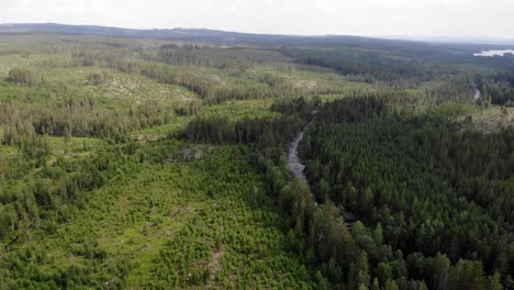 AERIAL---Agroforestry,-forest,-northern-Arctic-area-of-Sweden,-wide-shot-forward