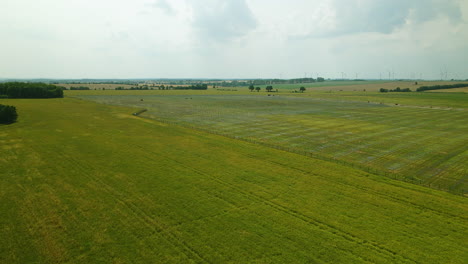 Vast-Pomerania-grass-landscape-in-rural-environment-of-Poland,-aerial