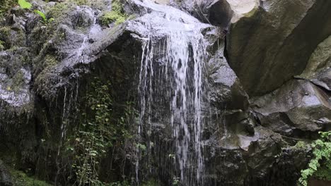 Wasserfall-Im-Wald-Nach-Oben-Geneigt,-Großer-Stein-Und-Baumansicht-4k-30fps