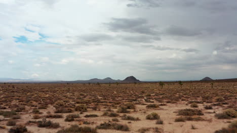 Vuelo-Sobre-Las-Llanuras-Del-Desierto-De-Mojave-Y-Los-árboles-De-Joshua-Solitarios-Hacia-Las-Formaciones-Volcánicas-Distantes