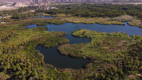 Aerial:-freshwater-lagoon-oasis-in-Mexican-desert,-tilt-up-drone-shot