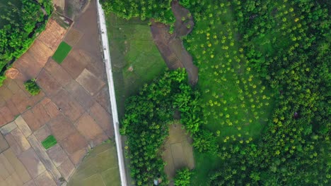 Aerial-Of-A-Track-Between-Fields-And-Lush-Treetops-At-Saint-Bernard-In-Southern-Leyte,-Philippines