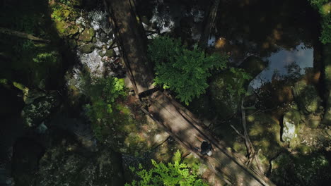 Top-down-rising-aerial-as-man-walks-across-small-bridge-over-creek-in-forest,-4K