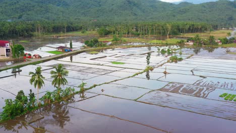 Campo-De-Arroz-Inundado-Durante-La-Temporada-De-Lluvias-En-San-Bernardo,-Sur-De-Leyte,-Filipinas---Toma-Aérea-De-Drones