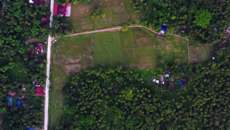 Vista-Aérea-De-Casas-En-Medio-De-árboles-Verdes-Y-Campos-En-El-Campo,-San-Bernardo-En-El-Sur-De-Leyte,-Filipinas---Disparo-De-Drones