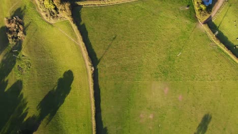 Downward-aerial-shot-of-rich-green-fields-at-Fire-Beacon-Hill-Near-Sidmouth-Devon-England-with-the-sunset-casting-beautiful-shadows-of-the-trees