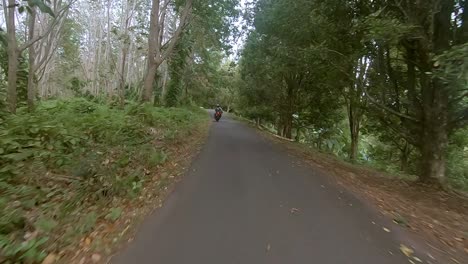 Motorradfahren-Auf-Einer-Kleinen-Straße-Durch-Einen-Wald