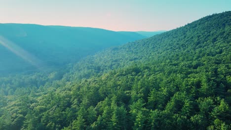 Aerial-drone-footage-of-a-sweeping-pine-forest-vista-in-the-Appalachian-Mountains