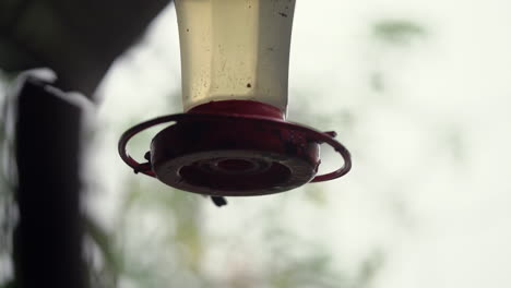 Slow-motion-silhouette-of-hummingbirds-at-feeder-on-porch-before-flying-away