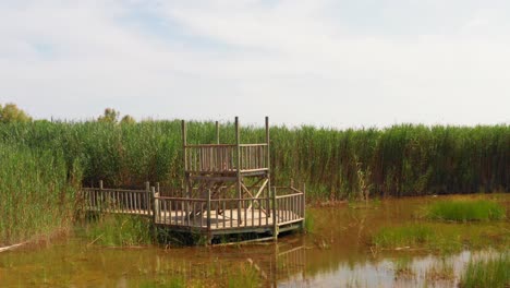 Wooden-Viewing-Platform-At-Mirador-Swamps-With-Reeds-In-Background