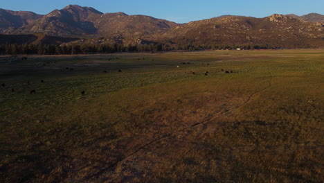 Green-meadow-with-animals-and-majestic-mountain-range-in-background,-aerial-pan-left-view