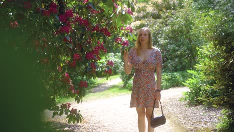 Stabilised-medium-shot-of-young-blonde-woman-admiring-pink-flowers-in-Sheffield-Botanical-Gardens,-England