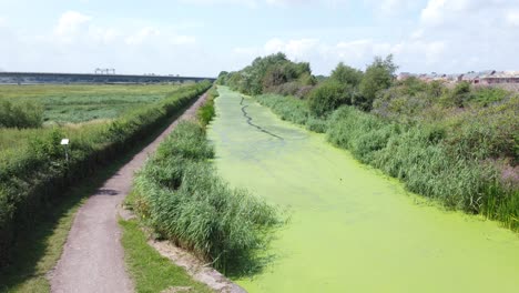 Green-algae-covered-countryside-canal-alongside-new-housing-build-site-aerial-view-low-to-high-reveal