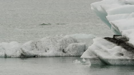Klimawandel-Und-Globale-Erwärmung-In-Echtzeit-In-Den-Eisbergen-Der-Jockularson-Lagune-In-Island