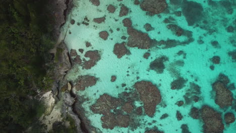Aerial-top-down-view-of-secluded-turquoise-beach-and-coral-reef-in-New-Caledonia