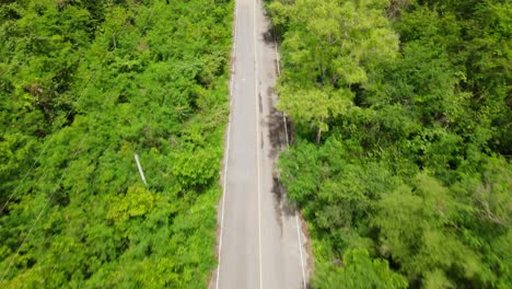 Aerial-footage-following-the-road-going-Kaeng-Krachan-National-Park,-UNESCO-World-Heritage-site,-Thailand,-revealing-a-paved-road,-electric-posts,-powerlines-and-just-lovely-green-plants-and-trees