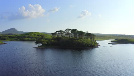 Pine-Island,-Derryclare-Lough,-Connemara,-County-Galway,-Juli-2021