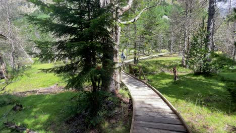 Aigüestortes-National-Park-Spain-protected-nature-lerida-catalunya-Wooden-walkway-protected-area-family-walk