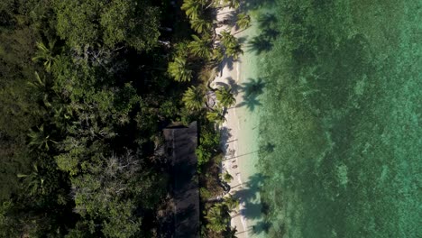Top-down-aerial-of-Dalaguete-Beach-Park-on-tropical-shore-of-Cebu-island