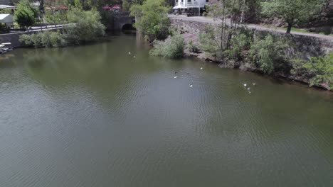 aerial-view-of-a-dam-with-ducks