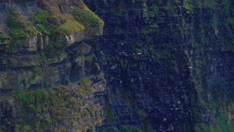Beautiful-Ireland-Cliffs-of-Moher---Static-Shot