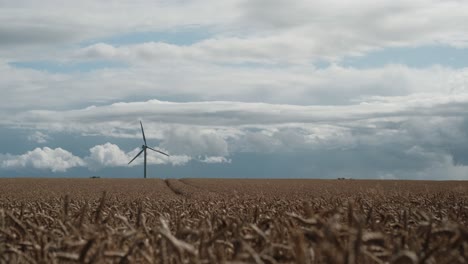 Blick-Auf-Getreidefeld-Mit-Windmühle-Am-Horizont-Und-Blauem-Himmel