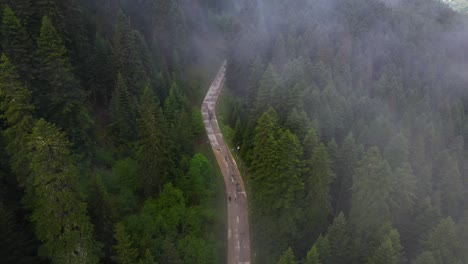 Aerial:-people-walking-down-road-through-misty-forest-on-mountainside
