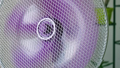 Oscillating-home-appliance-electric-fan-rotating-purple-plastic-blades-circulating-air-in-room-close-up