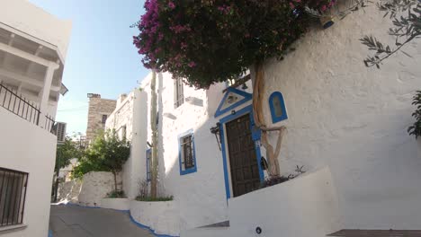 Romantic-narrow-alley-of-traditional-blue-and-white-Mediterranean-architecture-with-bougainvillea